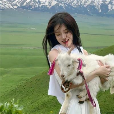 内战圣伯纳犬